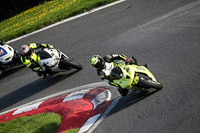 cadwell-no-limits-trackday;cadwell-park;cadwell-park-photographs;cadwell-trackday-photographs;enduro-digital-images;event-digital-images;eventdigitalimages;no-limits-trackdays;peter-wileman-photography;racing-digital-images;trackday-digital-images;trackday-photos